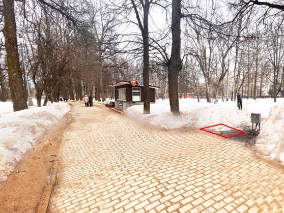 Предприниматели установят пять вендинговых аппаратов в Воронцовском парке