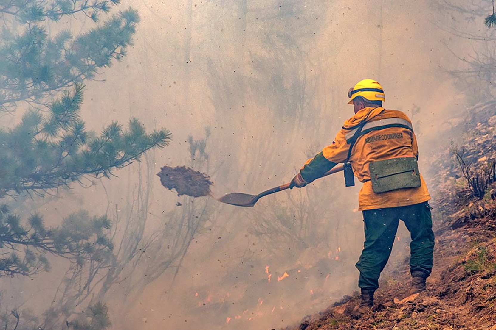 В России потушили 104 природных пожара за сутки
