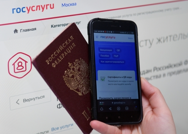 Публичный реестр злостных неплательщиков алиментов заработал на Госуслугах