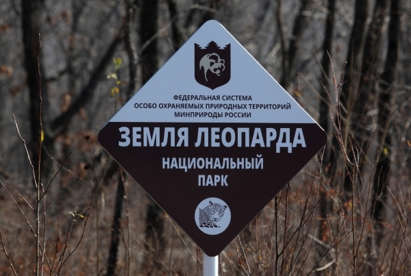 Пойдут лесом: В Госдуме не верят в спасение российских заповедников
