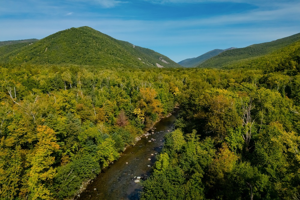 Эколог предупредил, чем грозит добыча золота у заповедников Приморья