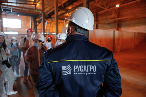 В Госдуме заявили, что национализация Русагро не изменит цены на свинину и сахар