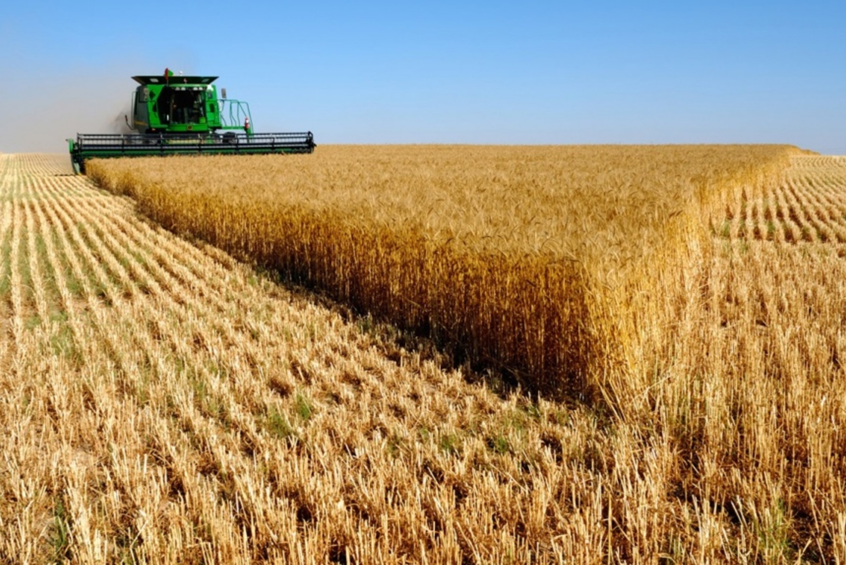 В Самарской области за 2020 год на 1 млн тонн вырос сбор зерна