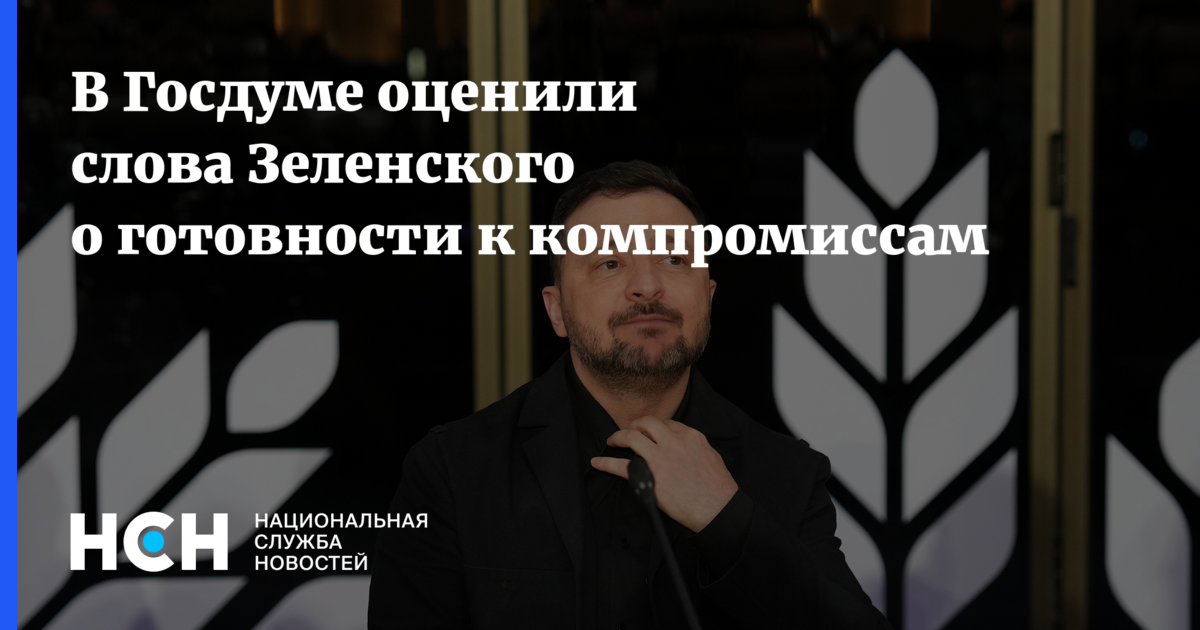 В Госдуме оценили слова Зеленского о готовности к компромиссам