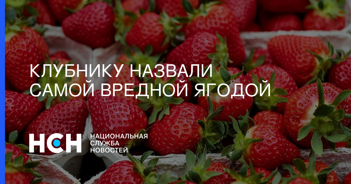 Почему землянику назвали земляникой. Что означает клубника. Самая вредная ягода в России.