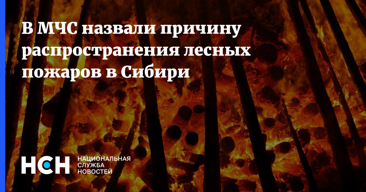 шашлык зимой в лесу. в лесу было жарко. стих чем жарче день тем сладостней в бору. в лесу было жарко. последствия пожаров сибири.