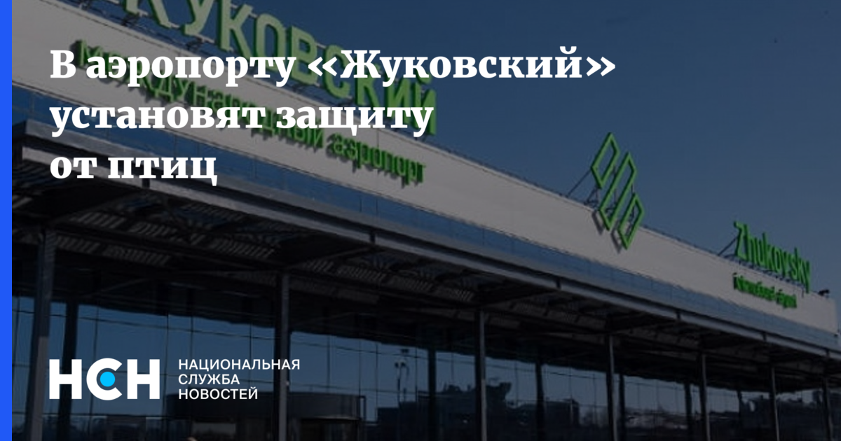 Москва жуковский. Жуковский аэропорт аптека. Птицы у аэропорта Жуковский. Аэропорт Жуковский онлайн. Аэропорт Жуковский информация.