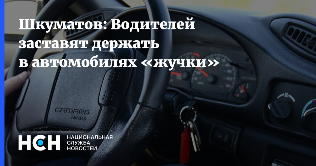 где ставят жучки в машине фото увидите, что написать