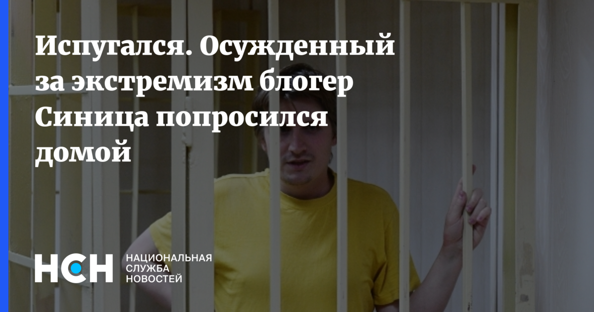 Синица блоггер. Блоггер синица. Испуганный осужденный.