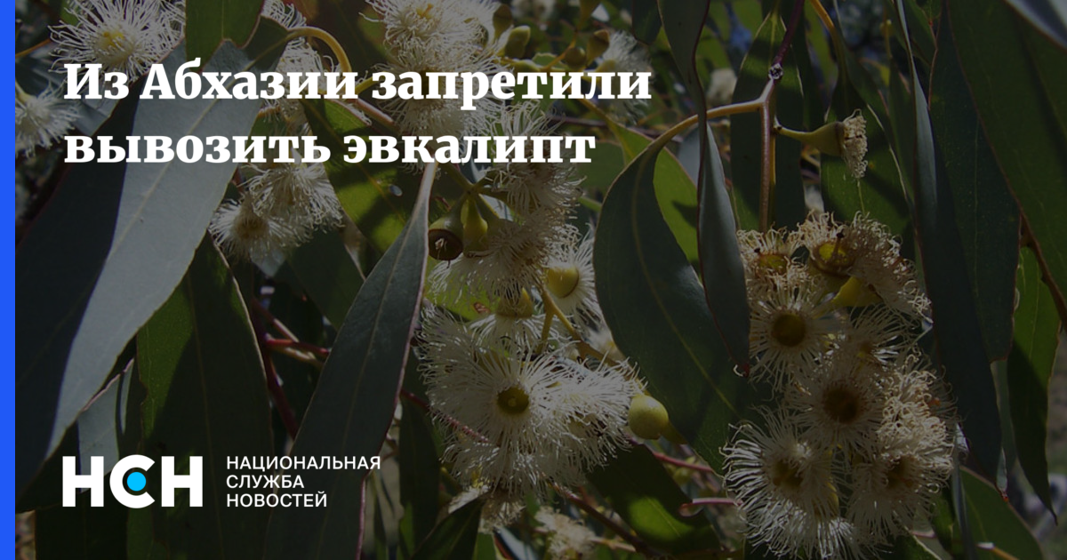 Почему нельзя вывозить