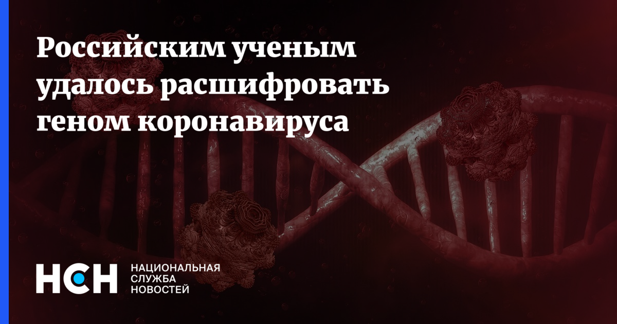 При расшифровке генома свеклы было установлено что. Геном Новосибирские и британские ученые объединили свои силы.