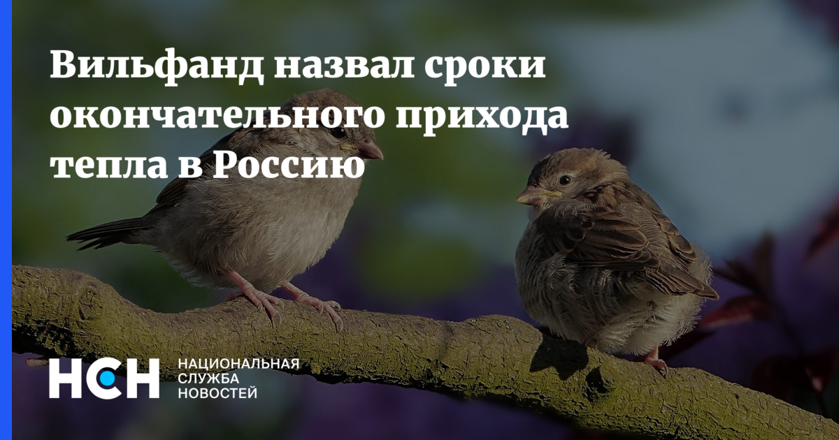 С приходом тепла. Вильфанд рассказал, стоит ли ждать раннюю весну.