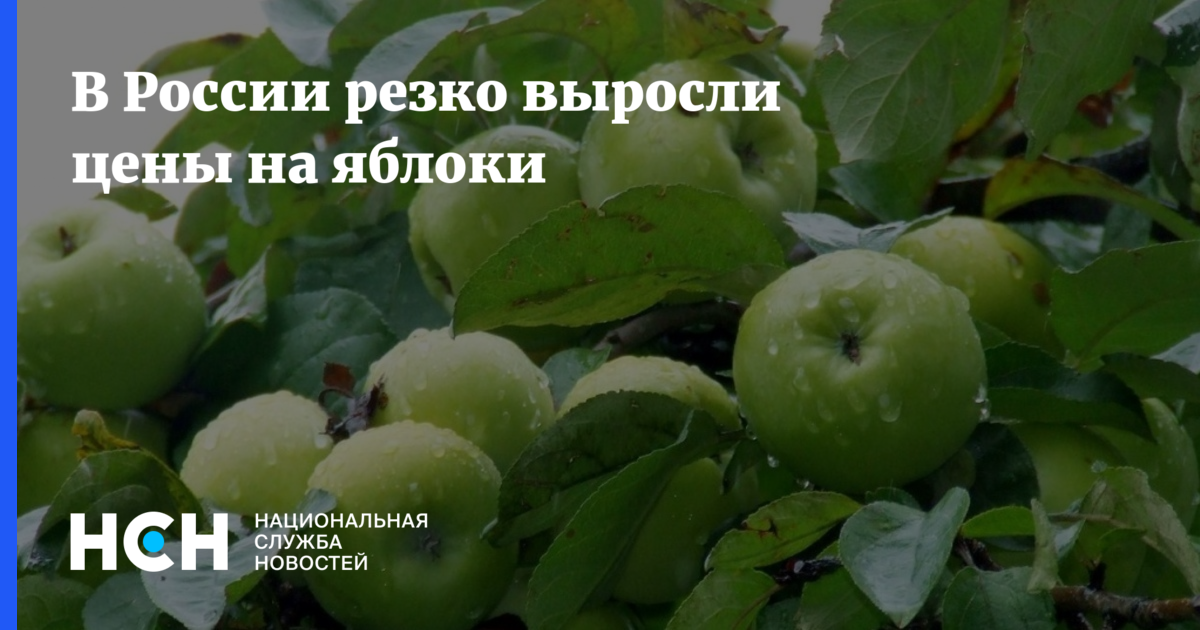 В России резко выросли цены на яблоки