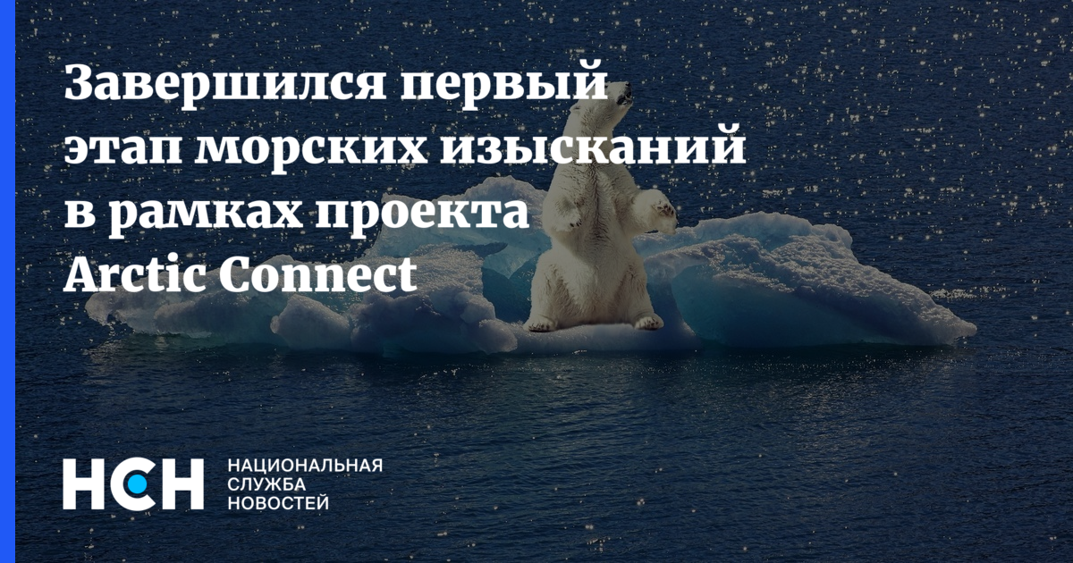 Arctic connect проект