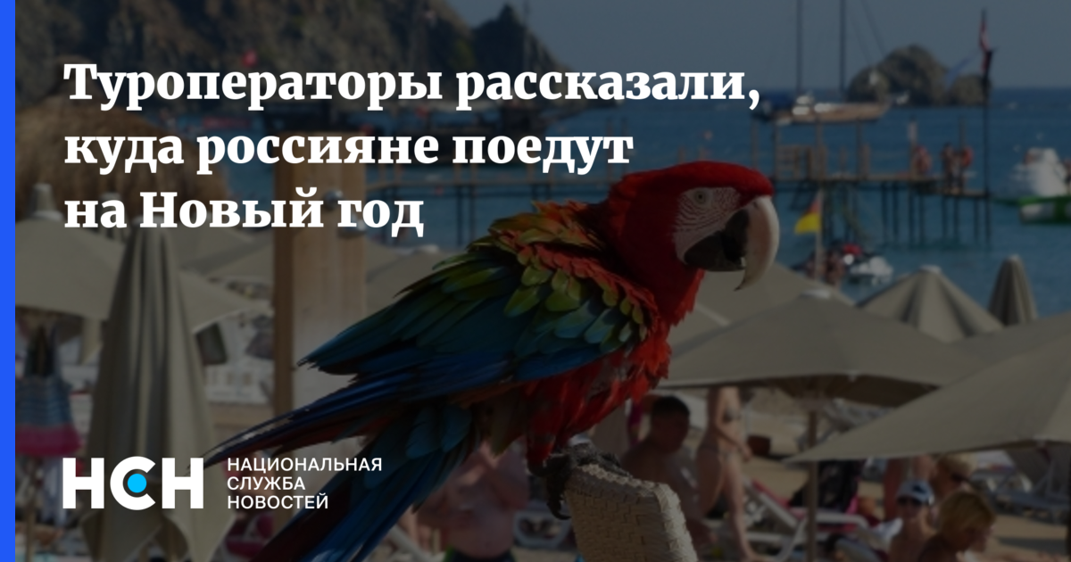 Куда Поедут Россияне На Новый Год