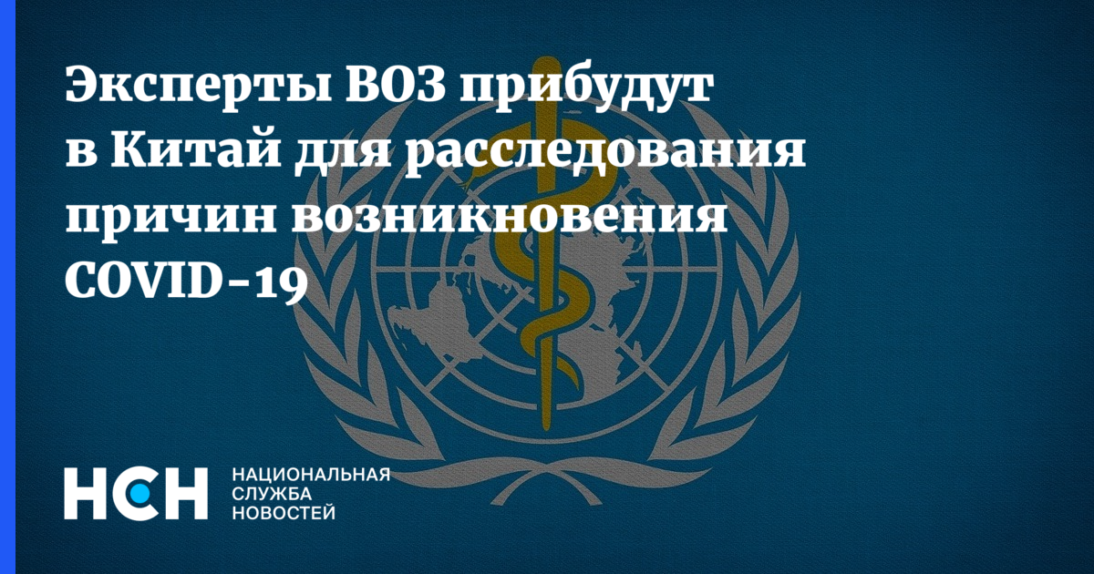 Специалист воз. Всемирная организация здравоохранения. Иконка эксперты всемирной организации здравоохранения.