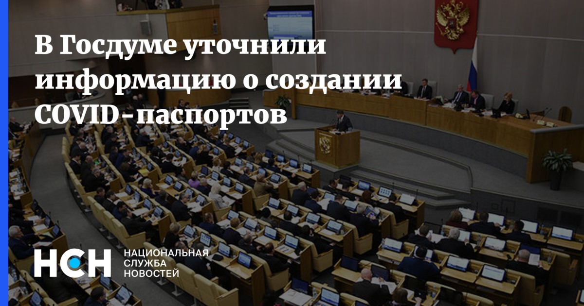 Государственная дума подтверждает. Госдума поправки в бюджет. Госдума утверждает бюджет. Место для голосования для Госдумы. Госдума и СПЧ.