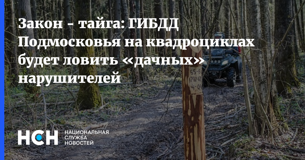 Закон тайги на 5 канале. Законы тайги. Номер ГАИ Тайга телефона. Таёжные законы.