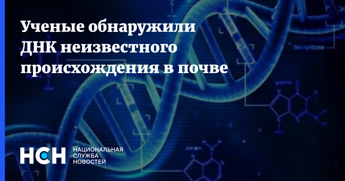 Днк проект. Ученые выявили пять образцов ДНК древних Рязанцев. ДНК Армения картинка. Открытие ДНК фото 51.