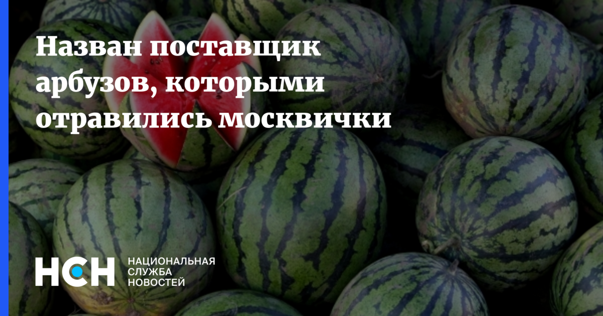 Отравились арбузом. Кот на арбузе. Борец отравился арбузом. Ненавижу арбузы кот.