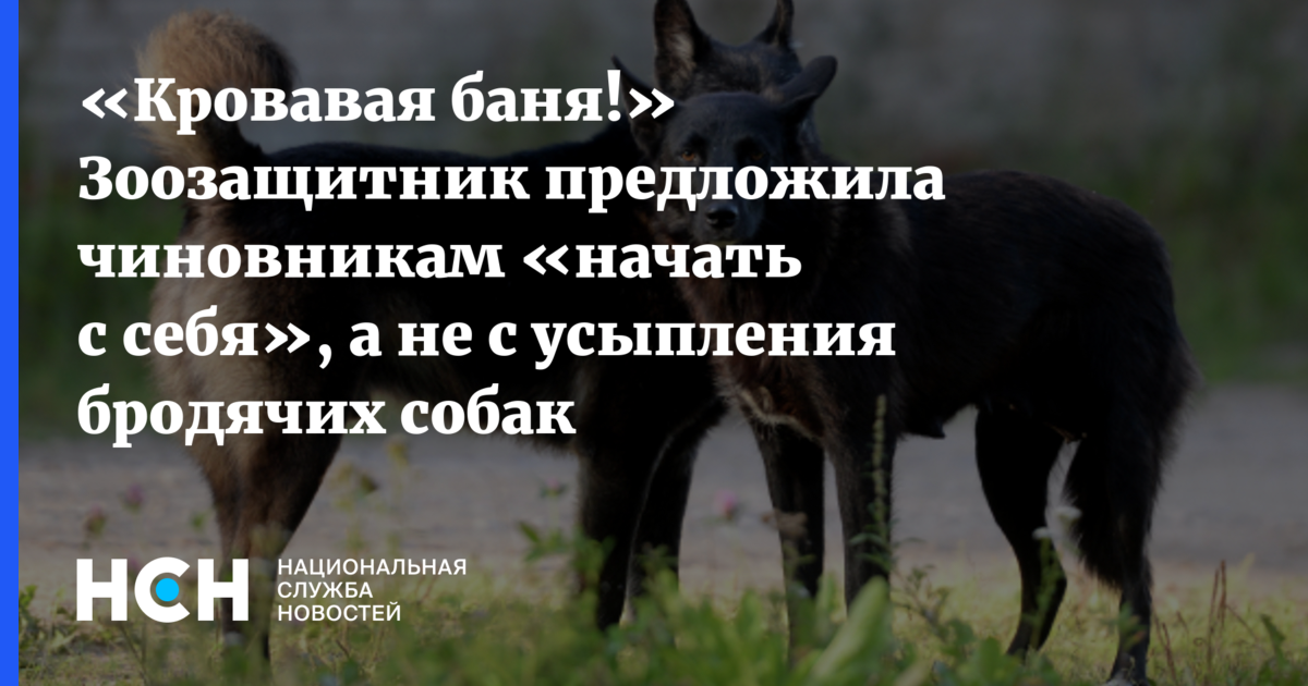 Усыпление животного грех