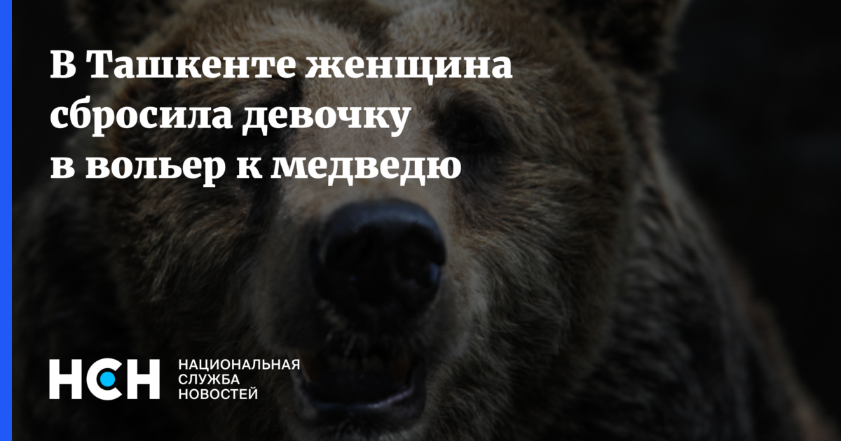 Медведь кидал. Женщина скинула ребенка к медведю в Ташкенте. Брошенный медведь. Девочку бросили к медведю. Мать скинула девочку к медведю.