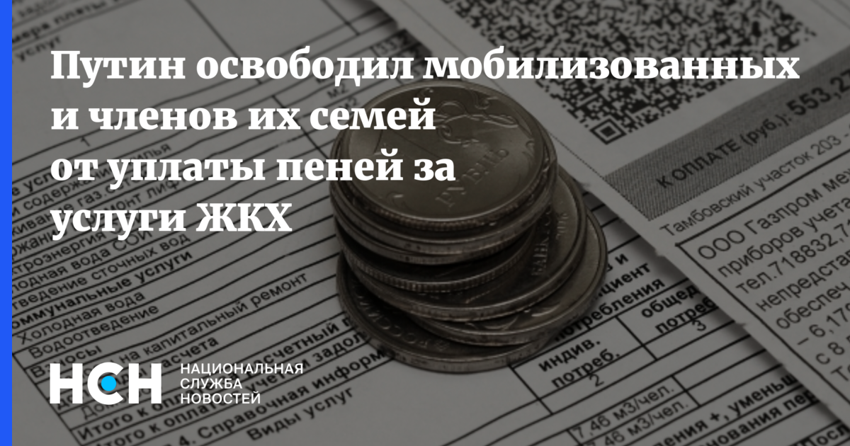 Освобождение от оплаты коммунальных услуг. Пени ЖКУ. Условия освобождения от уплаты пени. Освобождение мобилизованных от уплаты пеней за ЖКХ картинки. Мобилизованных и их семьи освободят от пеней по ЖКХ.