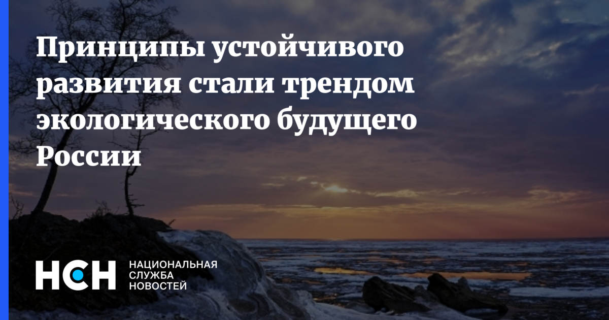 Экологическое будущее это