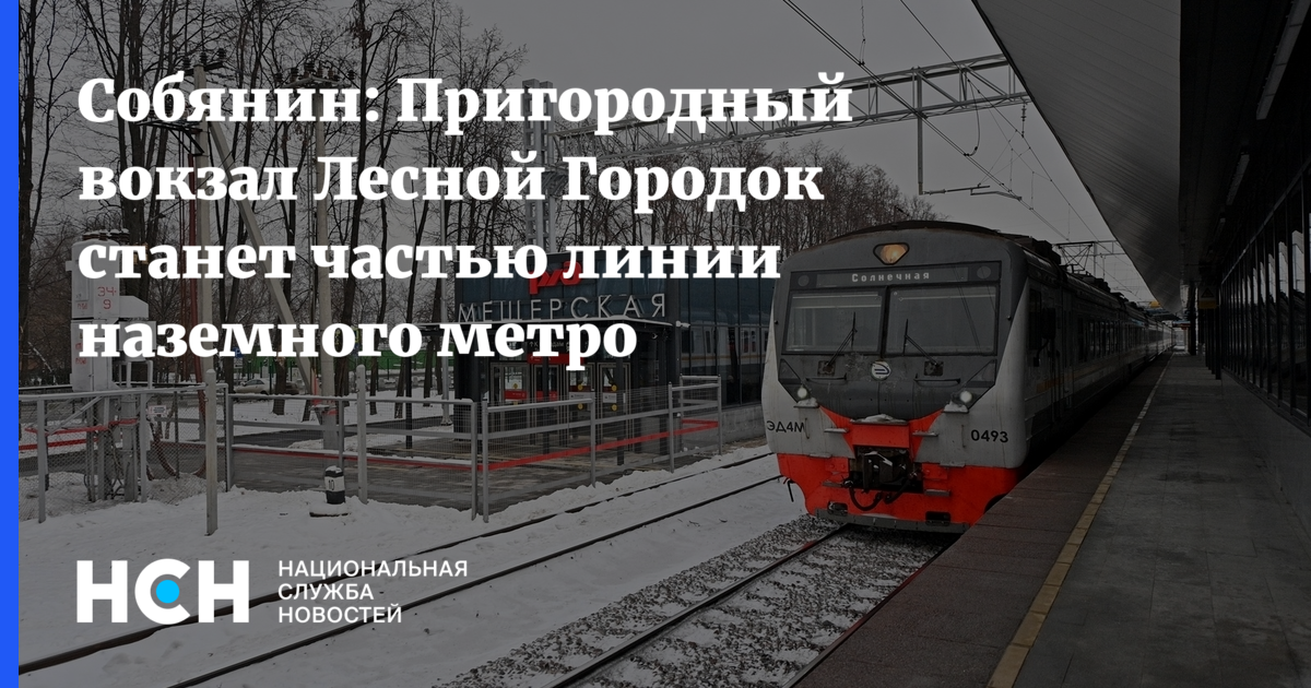 Расписание станции лесной городок. Метро Лесной городок. Станция Лесной городок МЦД. Схема метро Лесной городок. Наземное метро в Москве.