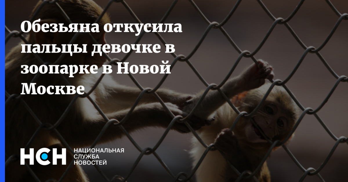 Важность безопасности посетителей