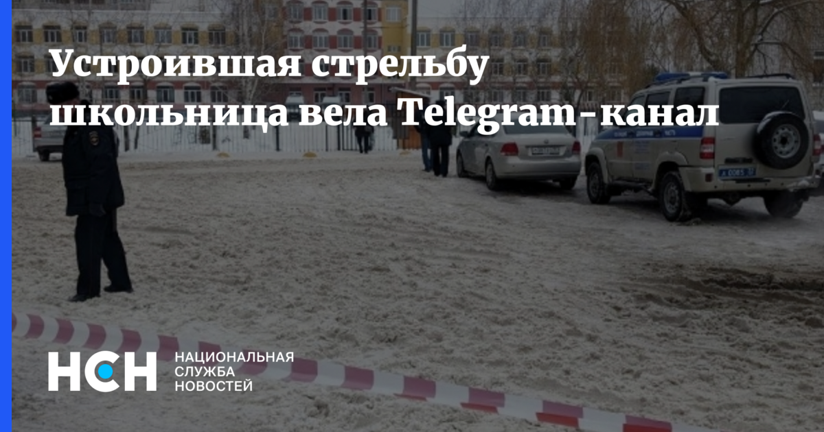 Устроившая стрельбу школьница вела Telegram-канал