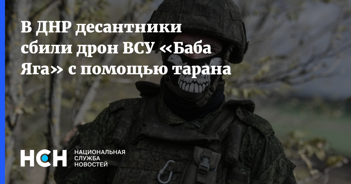 Десантники сняли Бабу-Ягус неба ЗУшкой