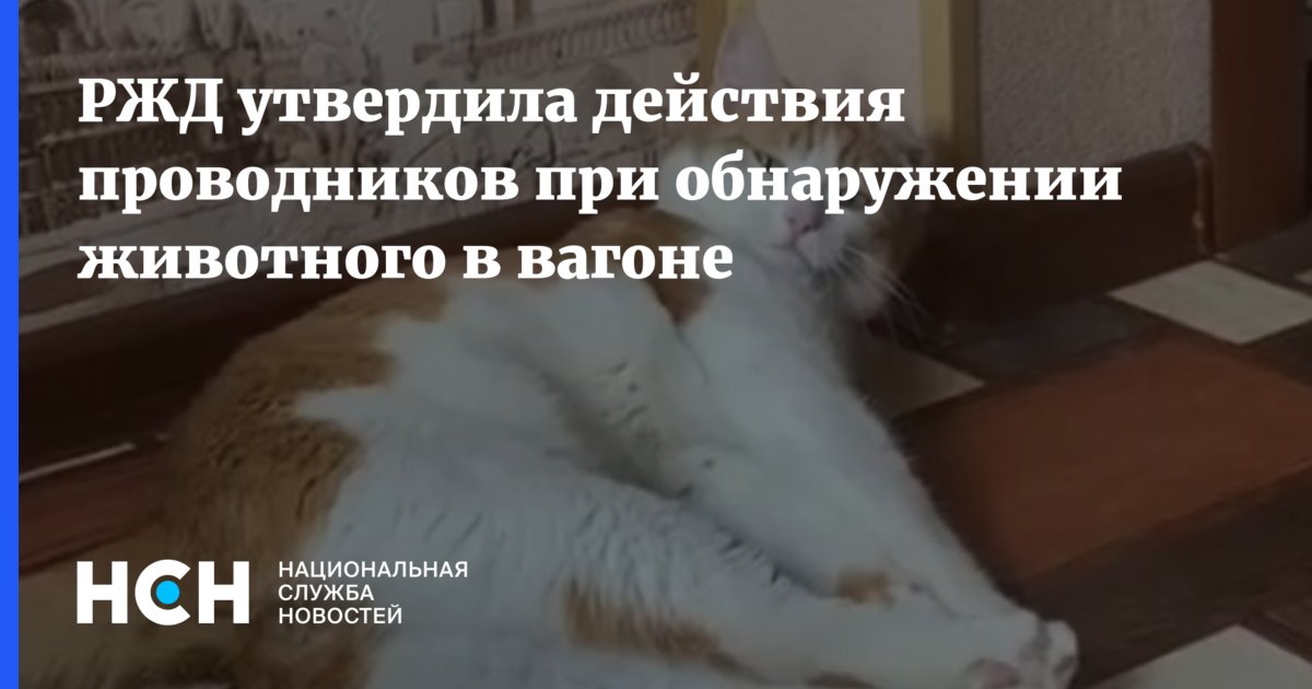 При приемке вагона