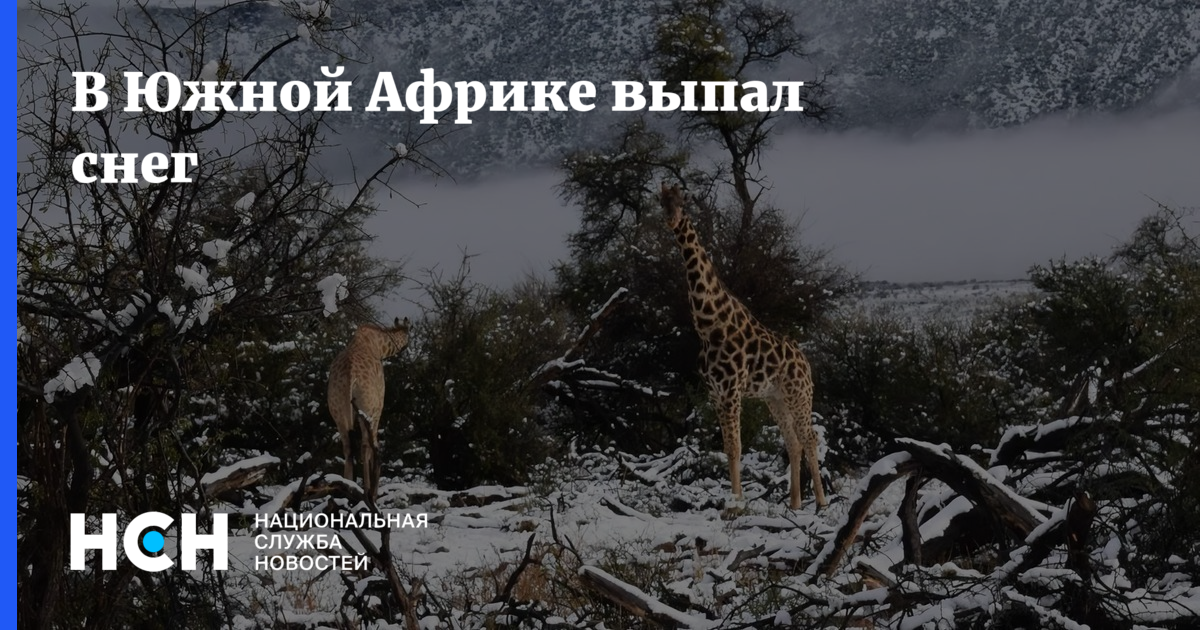 В каком городе юар снег. В каком городе юар снег