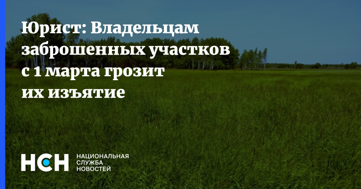 Юрист: Владельцам заброшенных участков с 1 марта грозит их изъятие